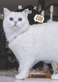 6e1decb99581b4c85cae632bf6aeb365