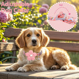 bd50445fb1e2616a3e0c78ae0117bcf